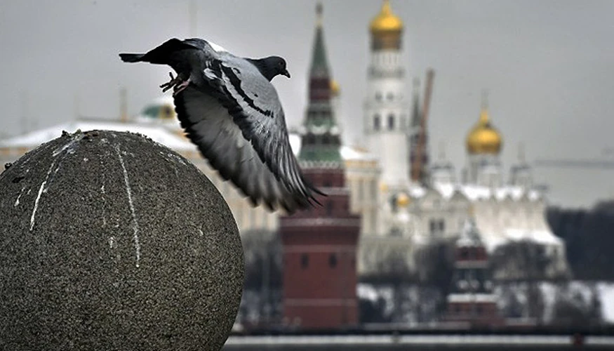 Мирний трек 22–23 вересня: заяви Зеленського, Трампа і відповідь Пєскова
